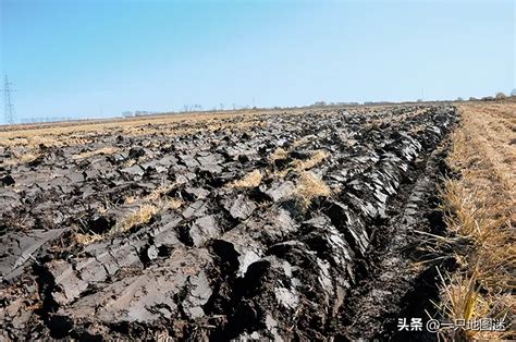 黑色土壤|黑土地（世界上最肥沃的土壤）